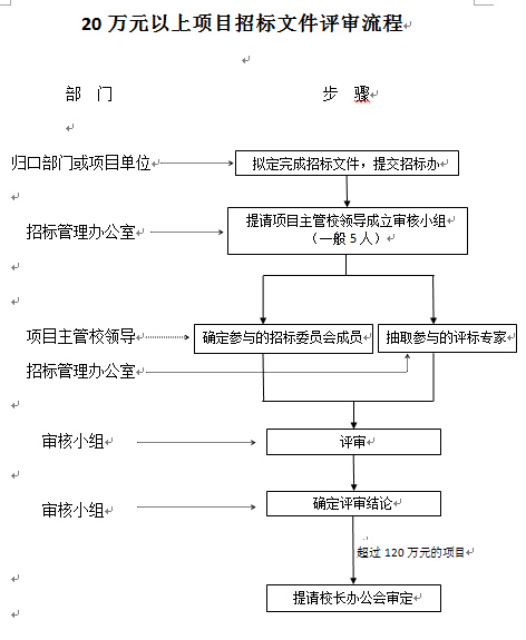 20万元以上项目招标文件评审流程